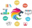 Web Development Company in jaipur